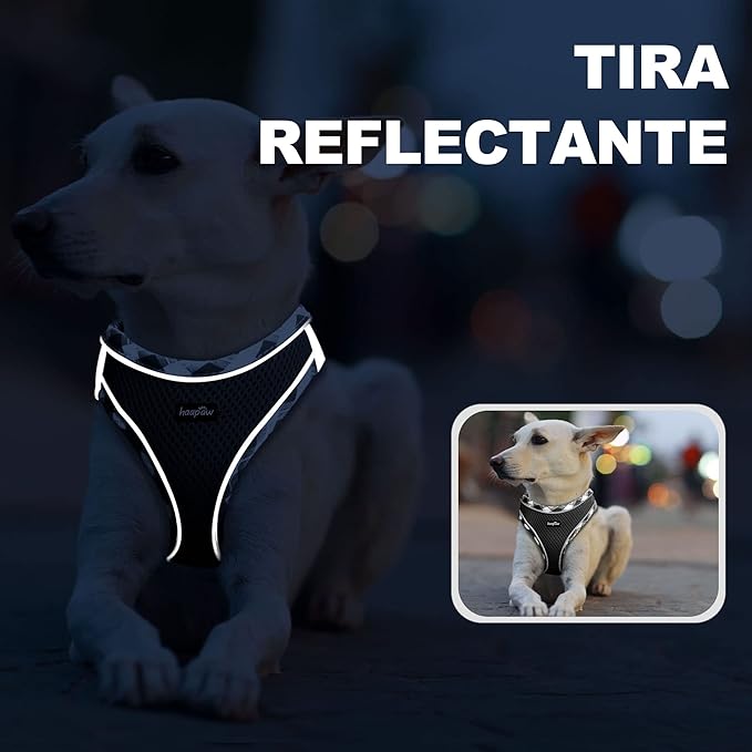 haapaw – Arnés + Correa Reflectante   El abrazo seguro que acompaña cada paseo