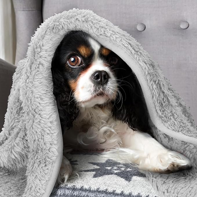 Nobleza – Manta Suave de Felpa para Mascotas (100 × 80 cm) - Calor, ternura y tradición para tu compañero