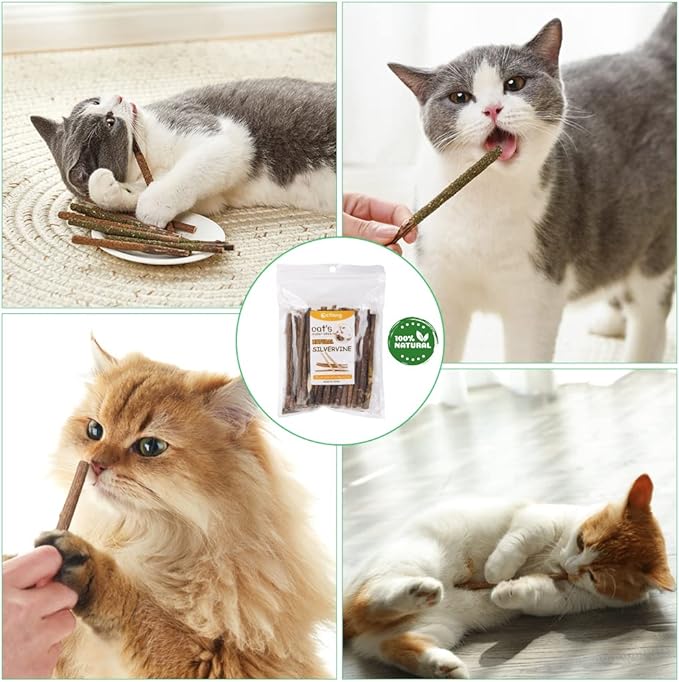 OSDUE – Palitos de Hierba Gatera 100% Orgánicos (32 uds) - Un ritual natural, ancestral y lleno de calma para tu gato