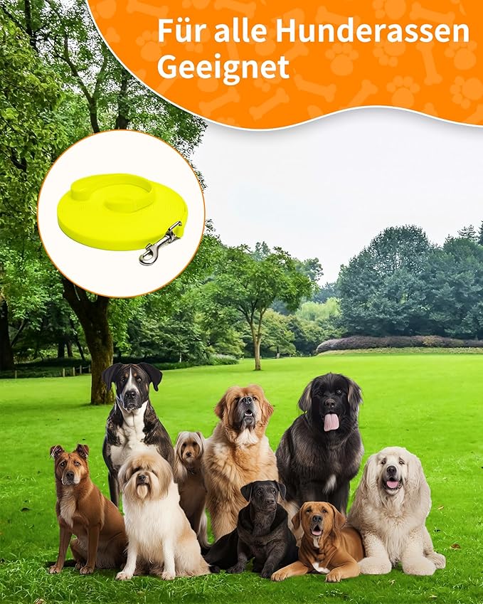 Toozey – La Correa que Acompaña Sus Pasos con Amor y Libertad