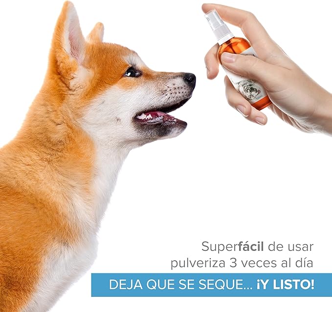 Spray de Plata Coloidal 100% Natural – El alivio que tu mejor amigo lleva tiempo pidiendo