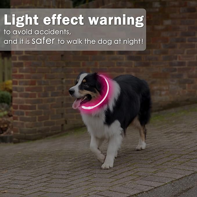 Coolzon Collar Luminoso para Perros y Gatos – Luz, Seguridad y Amor en Cada Paseo