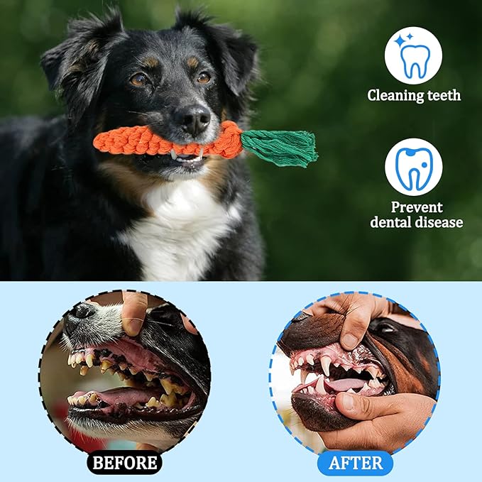 Juguetes para Perros – Pack de 19 Piezas - Tradición, juego y cariño para tu compañero fiel