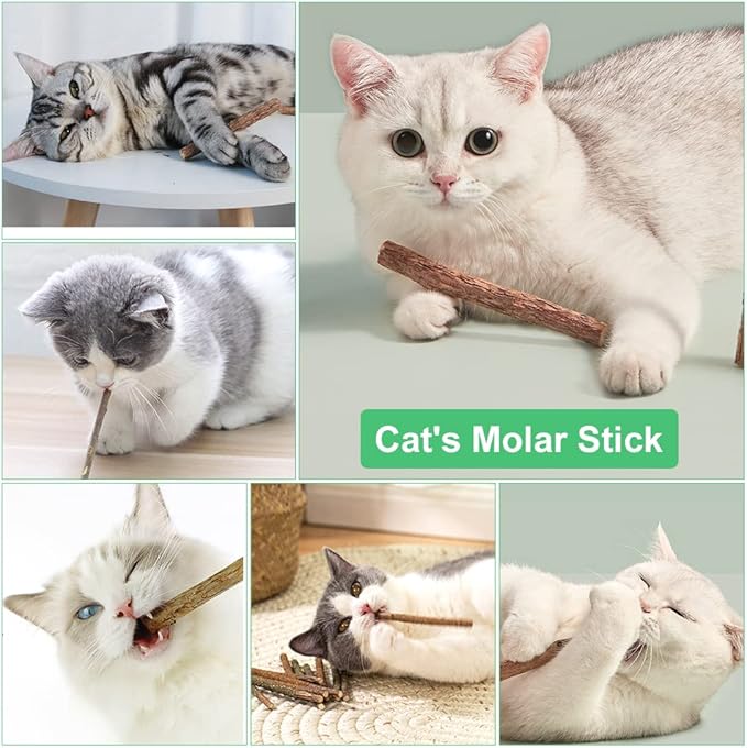 OSDUE – Palitos de Hierba Gatera 100% Orgánicos (32 uds) - Un ritual natural, ancestral y lleno de calma para tu gato