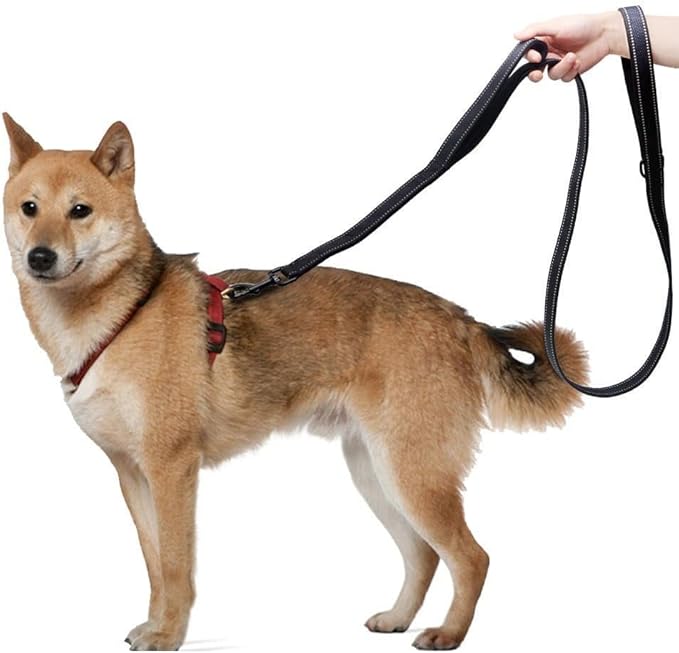 HRYSPN – Correa Resistente para Perros Grandes   Control, seguridad y calma en cada paso · 1,50 m · Doble asa acolchada