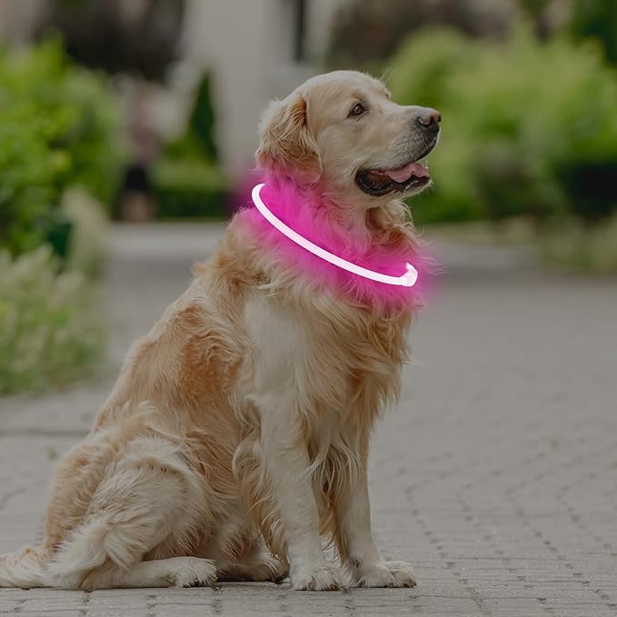Coolzon Collar Luminoso para Perros y Gatos – Luz, Seguridad y Amor en Cada Paseo